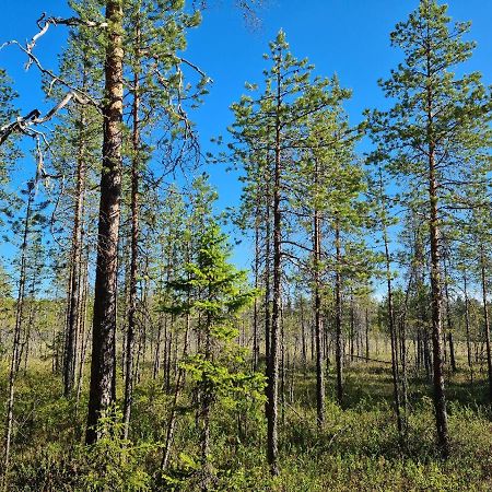 Raate Guest House Suomussalmi Kültér fotó