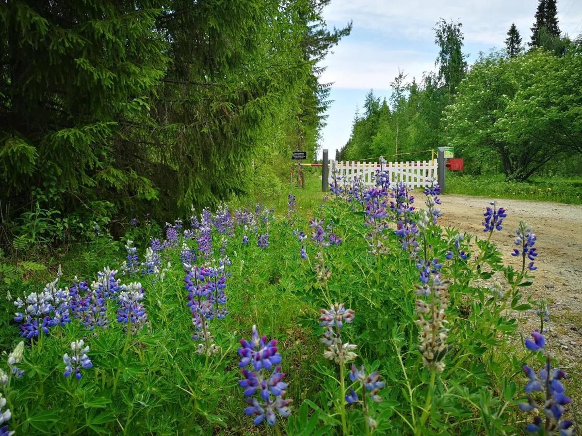 Raate Guest House Suomussalmi Kültér fotó