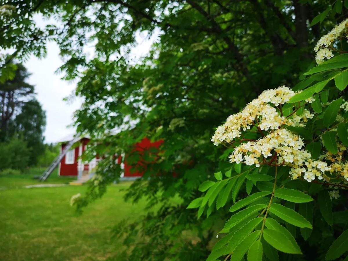 Raate Guest House Suomussalmi Kültér fotó